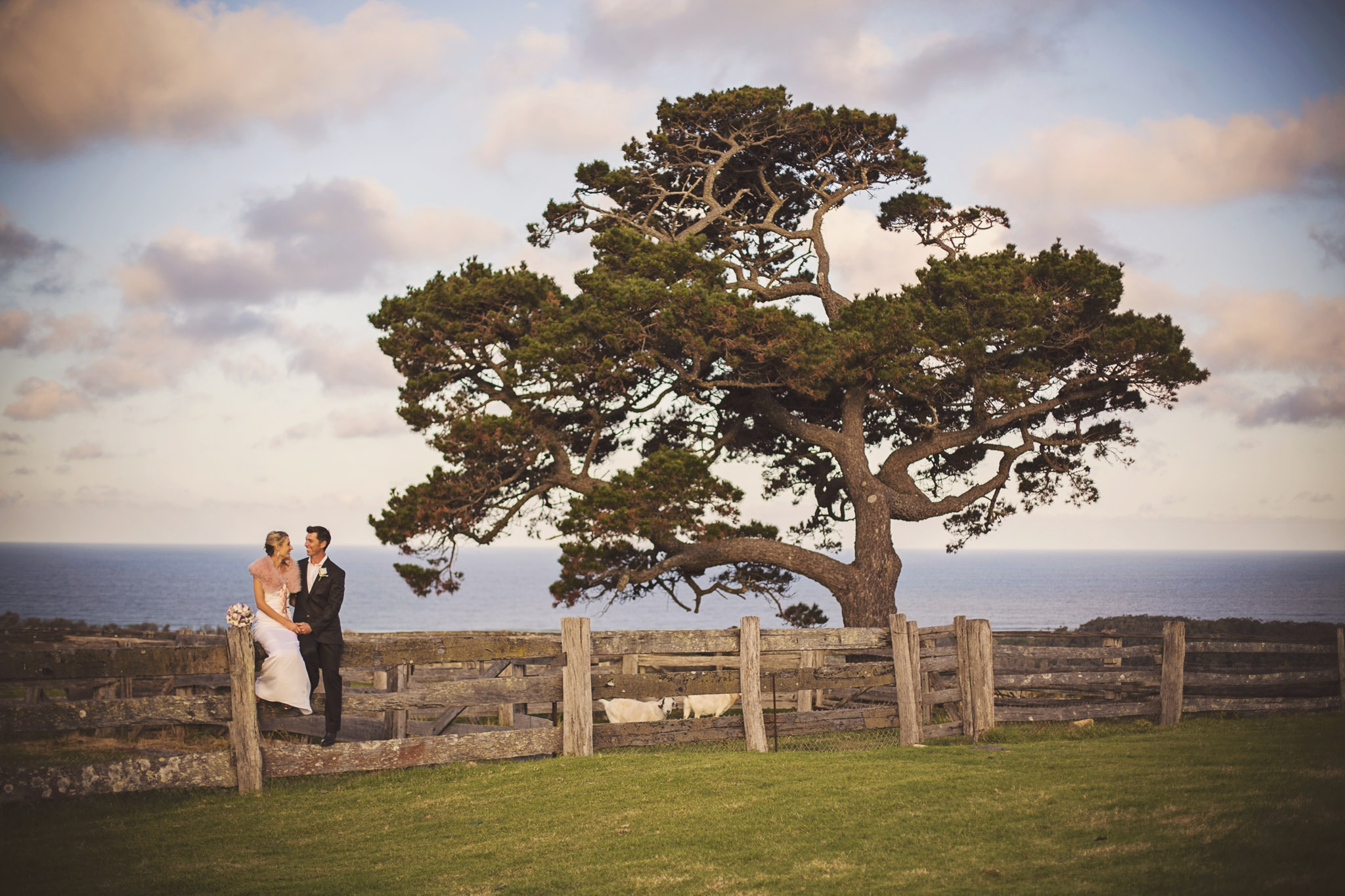 weddings-15.jpg