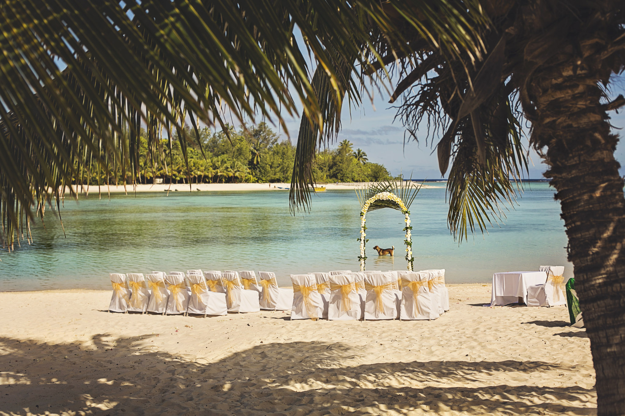 weddings-25.jpg